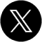 tw-icon-svg